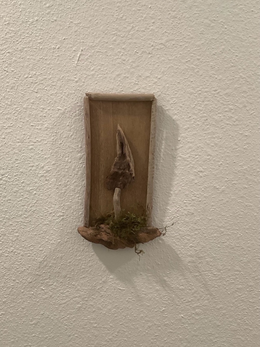 Driftwood Art, Driftwood Mushroom Wall Art , Mushroom Accent